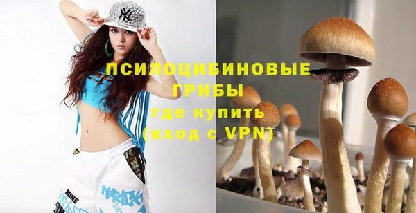 спиды Верея