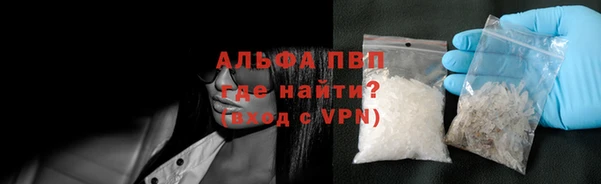 спиды Верея