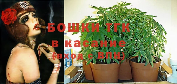 спиды Верея
