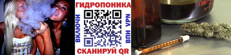 мега зеркало Ростов Марихуана индика где найти наркотики